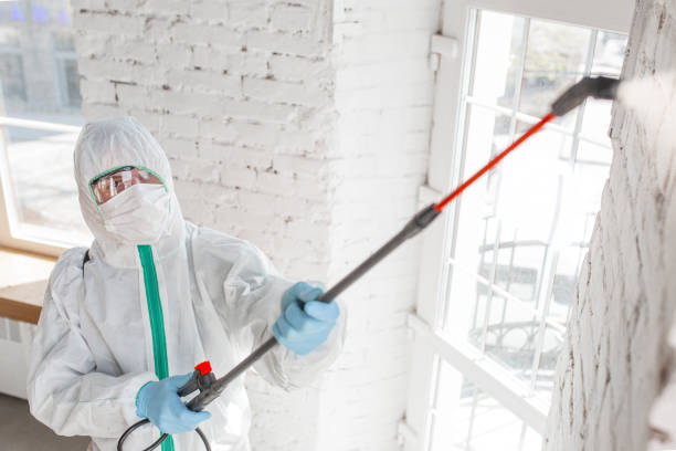 Best Airborne Mold Testing  in Bay Hill, FL