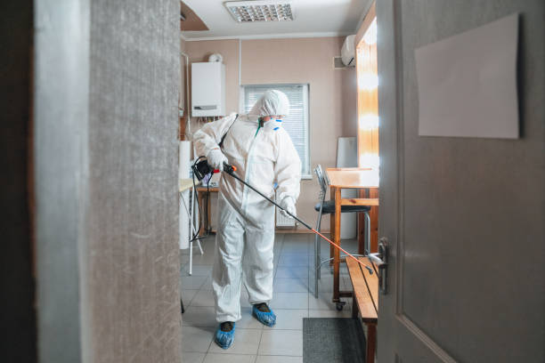 Best Mold-Related Health Consultation  in Bay Hill, FL
