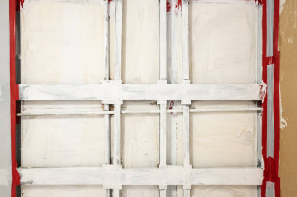 Best Asbestos and Lead Testing During Mold Inspection  in Bay Hill, FL