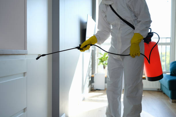 Best Mold Odor Removal Services  in Bay Hill, FL