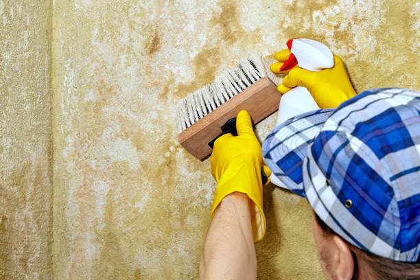 Best Dehumidification Services  in Bay Hill, FL