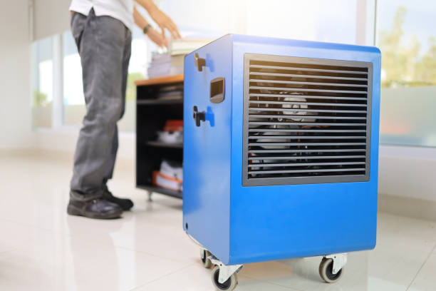 Reliable Bay Hill, FL Mold Removal Solutions